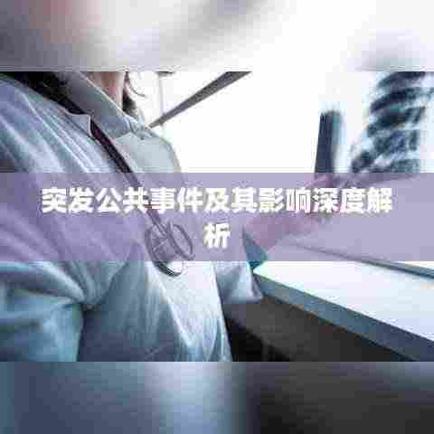 突发公共事件及其影响深度解析