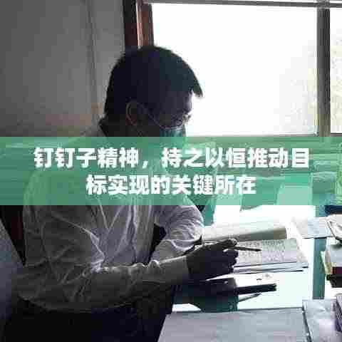 钉钉子精神,持之以恒推动目标实现的关键所在