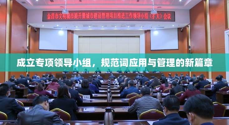 成立专项领导小组，规范词应用与管理的新篇章