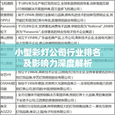 小型彩灯公司行业排名及影响力深度解析
