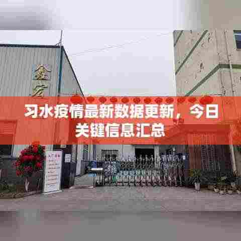习水疫情最新数据更新，今日关键信息汇总
