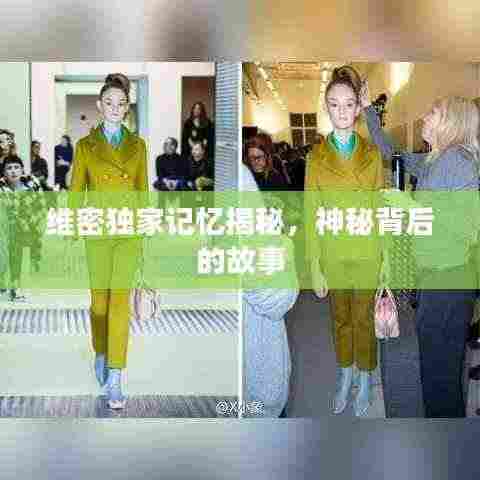 维密独家记忆揭秘,神秘背后的故事