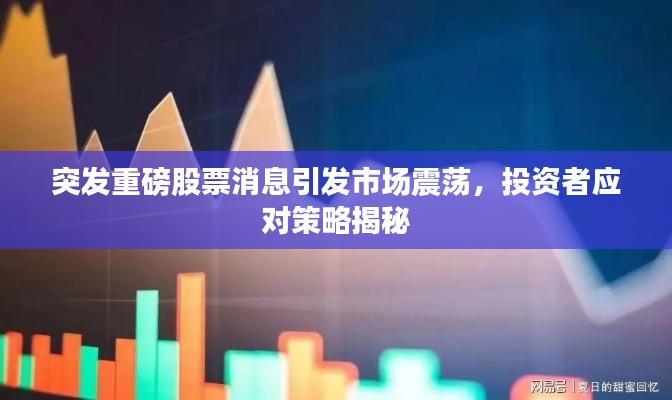 突发重磅股票消息引发市场震荡,投资者应对策略揭秘