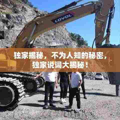 独家揭秘,不为人知的秘密,独家说词大揭秘!