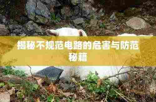 鸟啼花怨 第2页