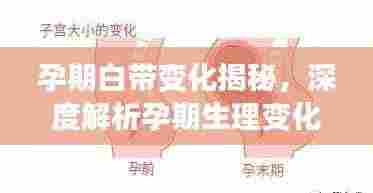 孕期白带变化揭秘,深度解析孕期生理变化