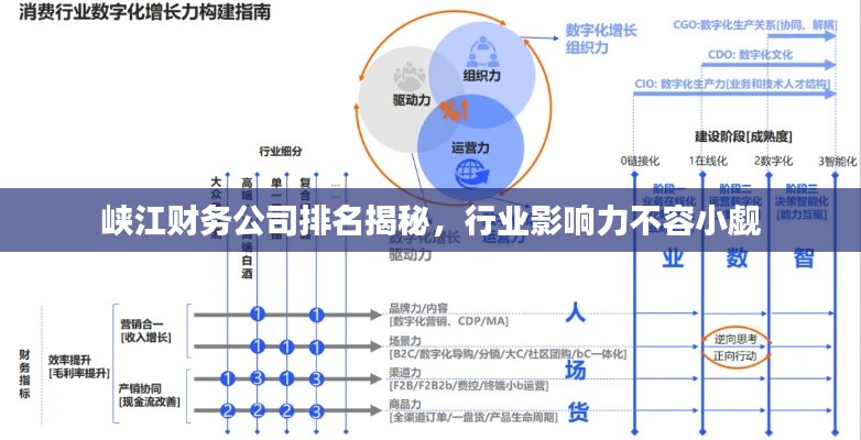 峡江财务公司排名揭秘,行业影响力不容小觑