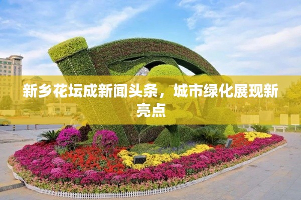 新乡花坛成新闻头条，城市绿化展现新亮点