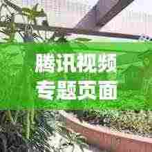 腾讯视频专题页面,深度内容与用户体验的交融呈现