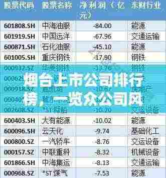 烟台上市公司排行榜,一览众公司风采