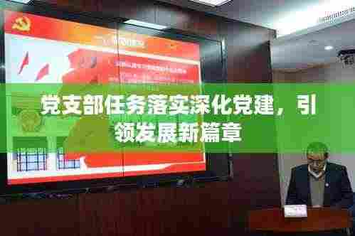 党支部任务落实深化党建,引领发展新篇章