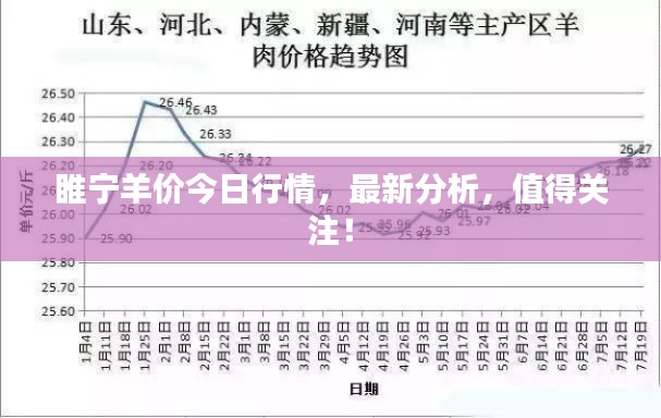 睢宁羊价今日行情,最新分析,值得关注!