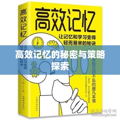 高效记忆的秘密与策略探索
