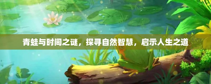 青蛙与时间之谜，探寻自然智慧，启示人生之道