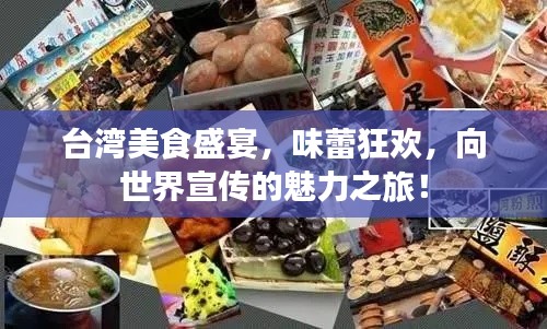台湾美食盛宴,味蕾狂欢,向世界宣传的魅力之旅!
