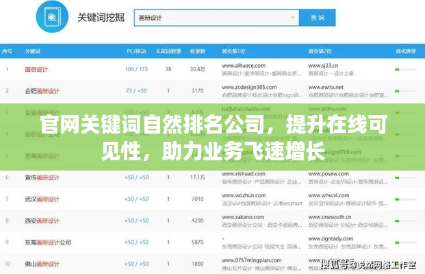 官网关键词自然排名公司,提升在线可见性,助力业务飞速增长