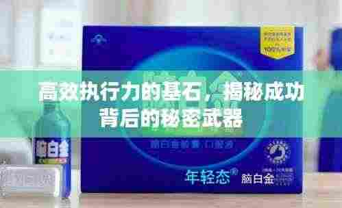 高效执行力的基石,揭秘成功背后的秘密武器