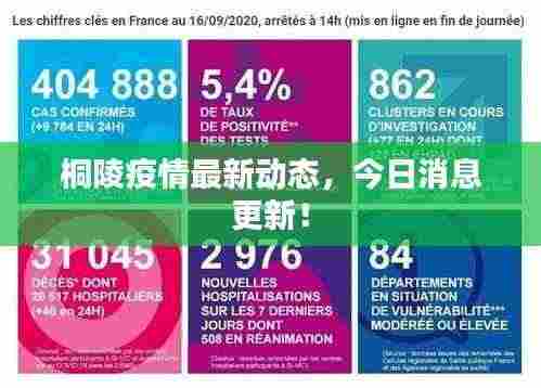 桐陵疫情最新动态,今日消息更新!