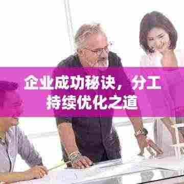 企业成功秘诀,分工持续优化之道