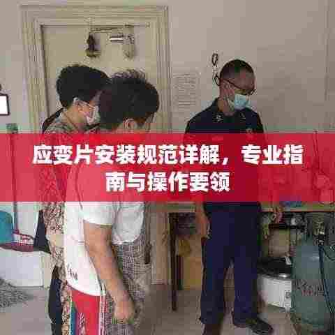 应变片安装规范详解，专业指南与操作要领